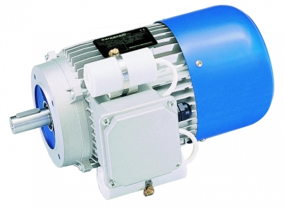 Asynchronous single phase brake motors with voltage relay