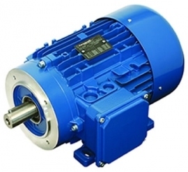 Asynchronous three phase pole changing motors