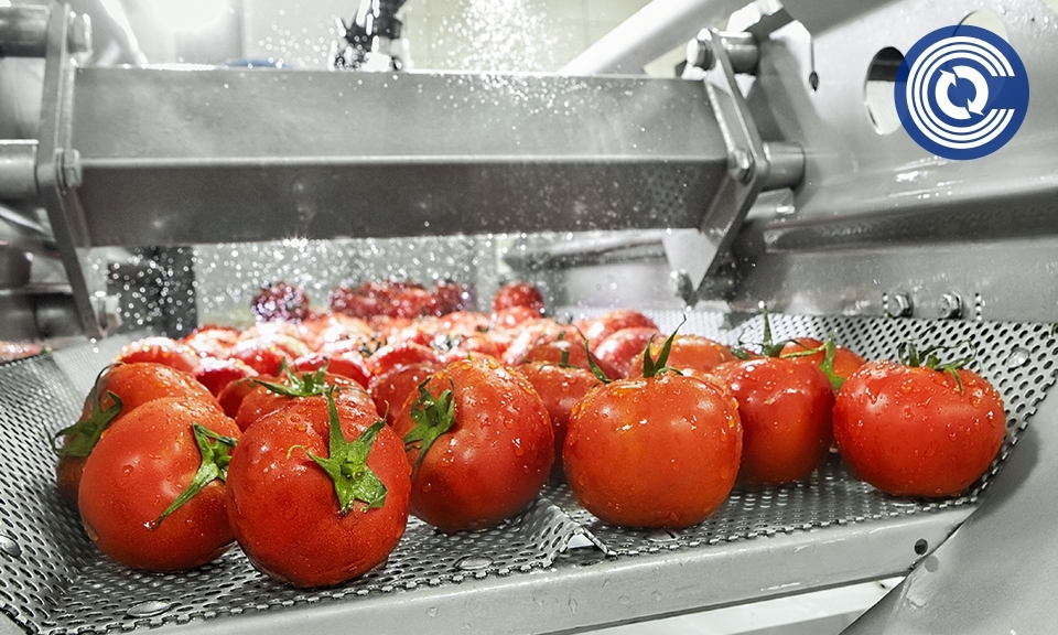 Motori Elettrici settore Alimentare Motori Elettrici settore Alimentare