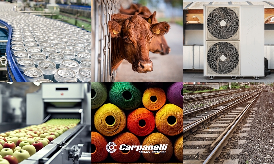 Motori Elettrici Carpanelli Settori di applicazione Motori Elettrici Carpanelli Settori di applicazione