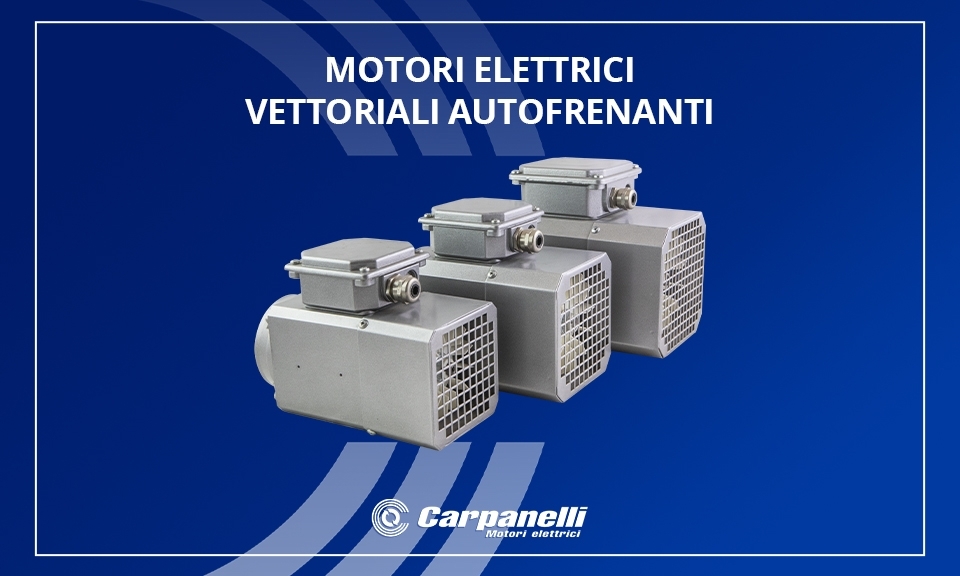 Motori vettoriali autofrenanti Carpanelli Motori vettoriali autofrenanti Carpanelli