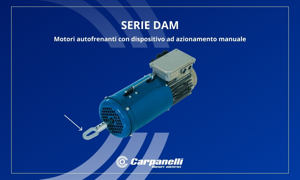 Motori autofrenanti con dispositivo ad azionamento manuale (Serie DAM) Motori autofrenanti con dispositivo ad azionamento manuale (Serie DAM)