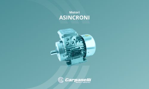 Carpanelli Induction Motors: bespoke solutions