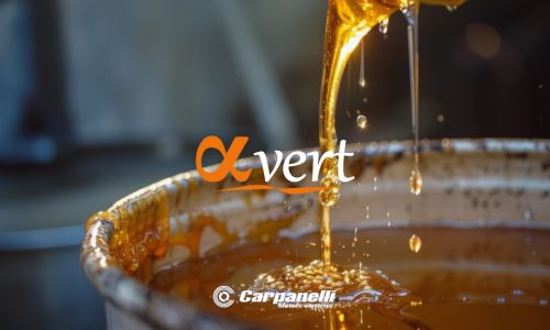Alfavert Carpanelli motors for honey extractors