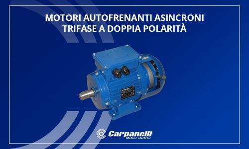 Motori Autofrenanti Carpanelli