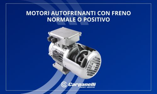 Carpanelli self-braking motors: normal brake or positive brake?
