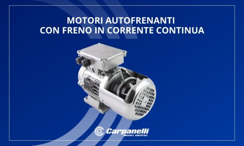 Carpanelli self-braking motors with DC brake