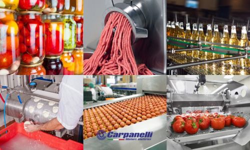 Motori elettrici Carpanelli per l’industria alimentare