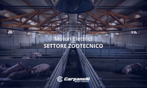 Livestock Sector Carpanelli Electric Motors