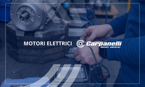 Customised Electric Motors