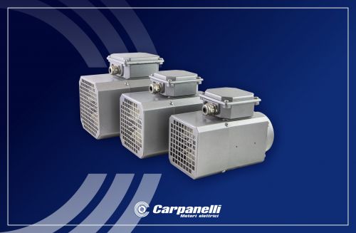 Carpanelli square compact vector electric motors