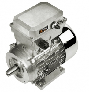 Motors with inverter Alfavert series Motors with inverter Alfavert series