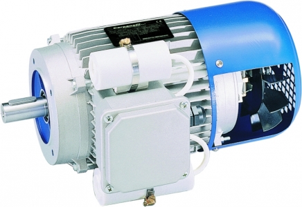 Motori Elettrici Asincroni Monofase con Disgiuntore Elettronico Motori Elettrici Asincroni Monofase con Disgiuntore Elettronico