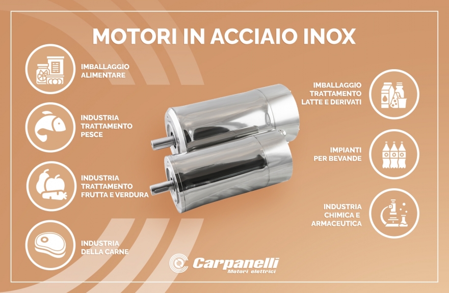 Motori elettrici in Acciaio Inox