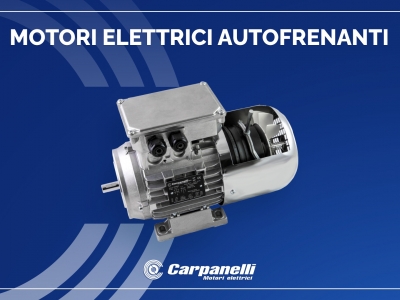Carpanelli self-braking motors