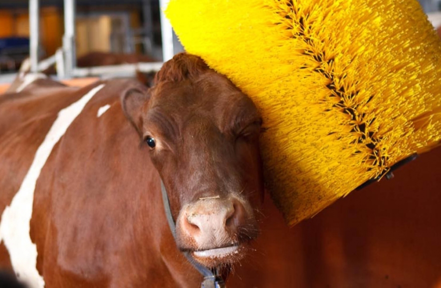 Carpanelli Electric Motors Livestock Sector Carpanelli Electric Motors Livestock Sector